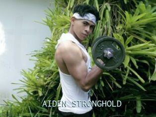 AIDEN_STRONGHOLD