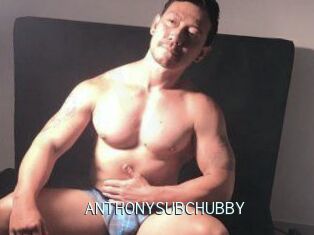 ANTHONYSUBCHUBBY