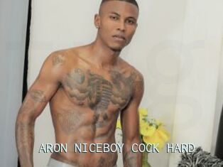 ARON_NICEBOY_COCK_HARD