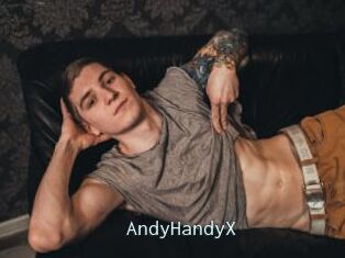 AndyHandyX