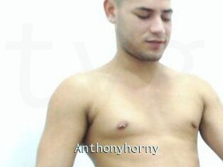 Anthonyhorny