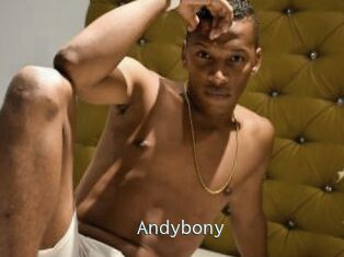 Andybony