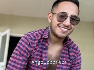 Angeloporter