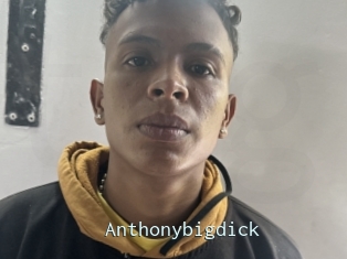 Anthonybigdick