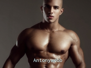 Antonywebb