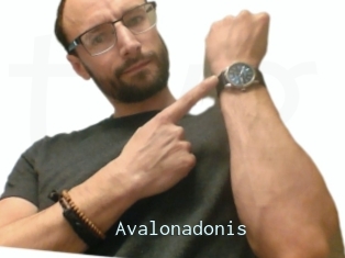 Avalonadonis