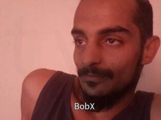 BobX