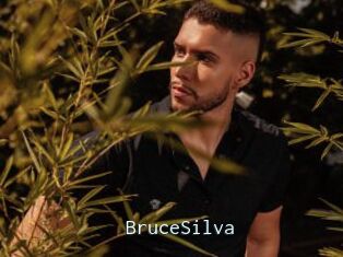 BruceSilva