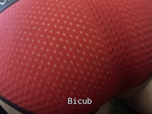 Bicub