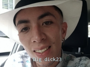 Big_dick23