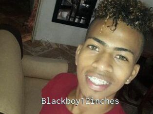 Blackboy12inches