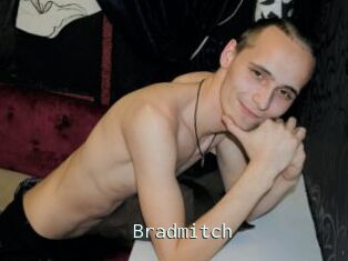 Bradmitch