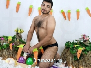 Brunosains