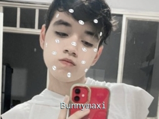 Bunnymaxi