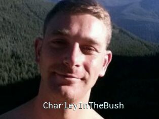 CharleyInTheBush