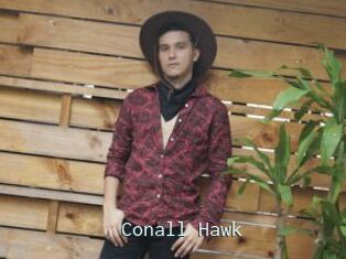 Conall_Hawk