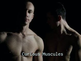 Curious_Muscules