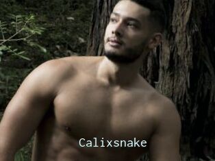 Calixsnake