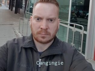 Cangingie