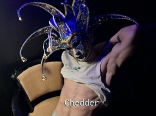 Chedder