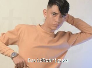 DavidRodrigues