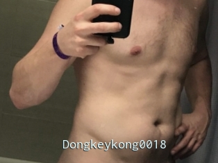 Dongkeykong0018