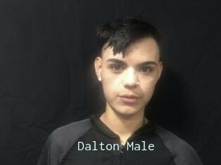 Dalton_Male