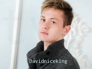 Davidniceking