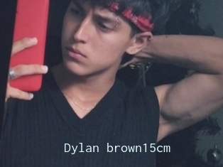 Dylan_brown15cm