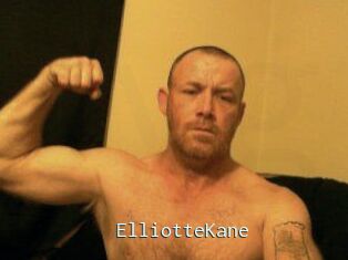 Elliotte_Kane