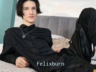 Felixburn