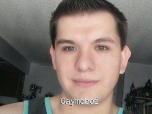 Gaymeboi