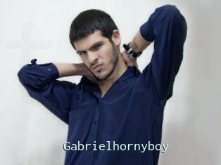 Gabrielhornyboy