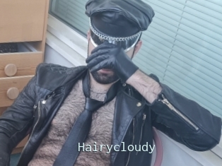 Hairycloudy