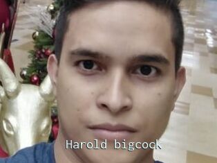 Harold_bigcock