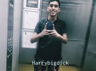 Harrybigdick