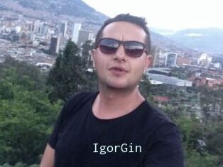 IgorGin