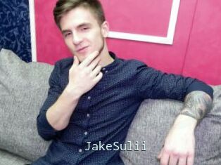 JakeSulii