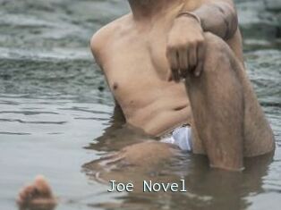 Joe_Novel