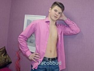 Jacobbud