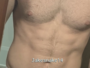 Jakesnake14