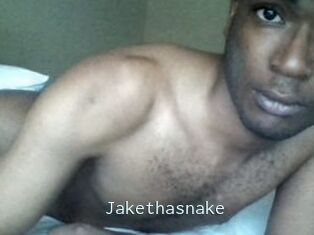 Jake_tha_snake