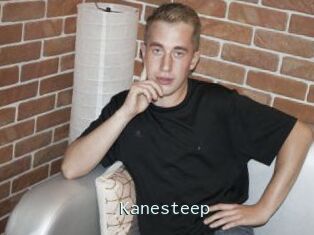 Kanesteep