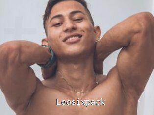 Leosixpack