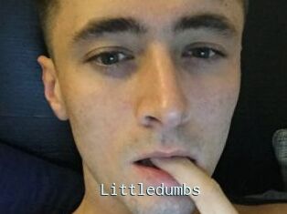 Littledumbs