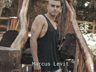 Marcus_Levit