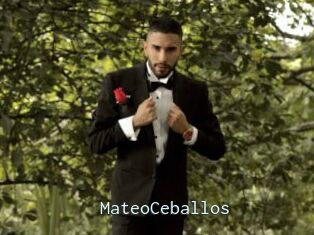 MateoCeballos