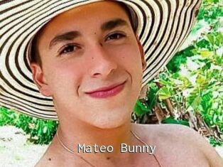 Mateo_Bunny