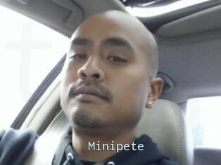 Minipete