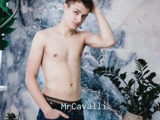 MrCavalli